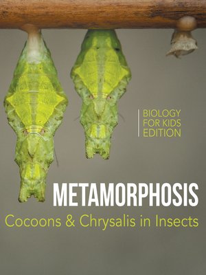 cover image of Metamorphosis--Cocoons & Chrysalis in Insects--Biology for Kids Edition